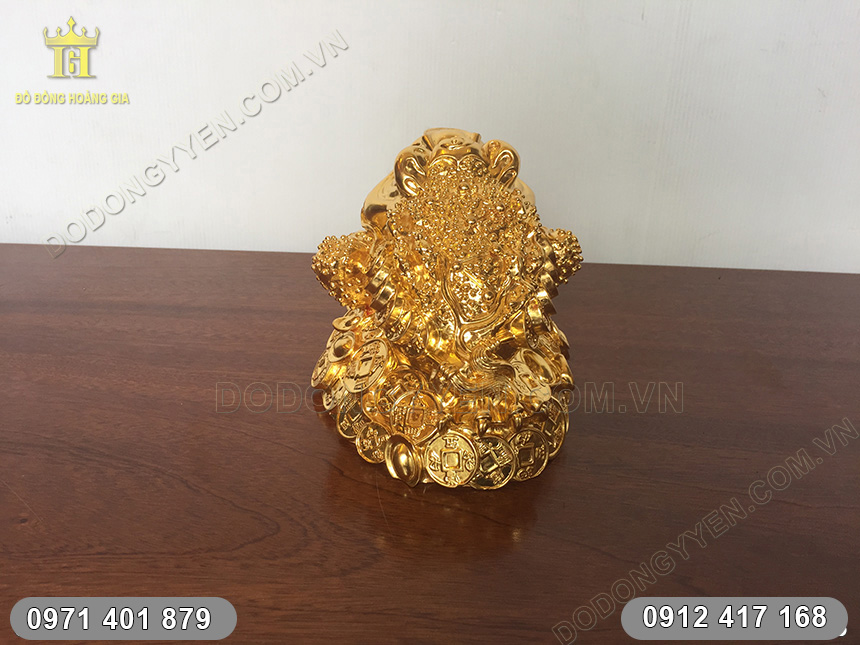 c&oacute;c ngậm tiền d&aacute;t v&agrave;ng